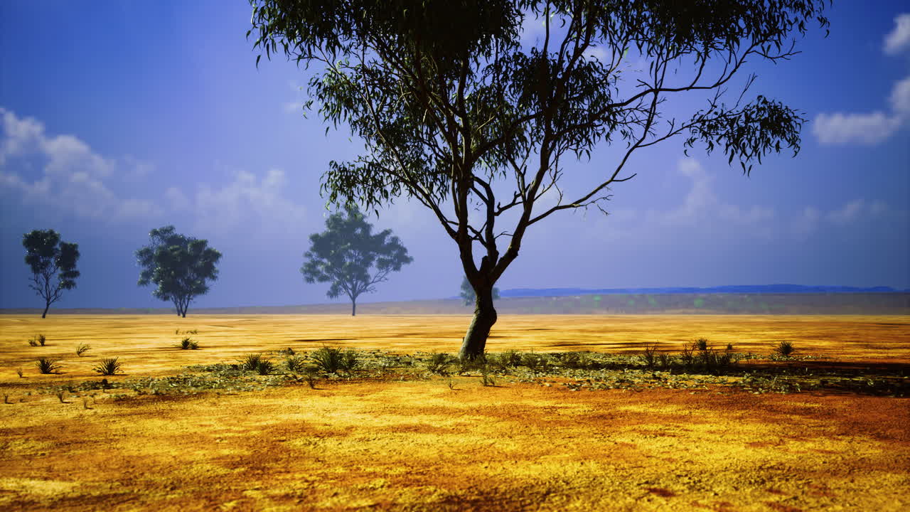 Vast desert landscape featuring a solitary tree under a clear blue sky