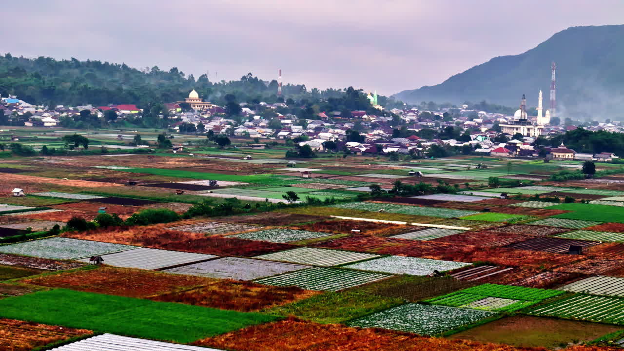 Aerial view of Bukit Selong fields at sunrise, rich colors and tranquil mood