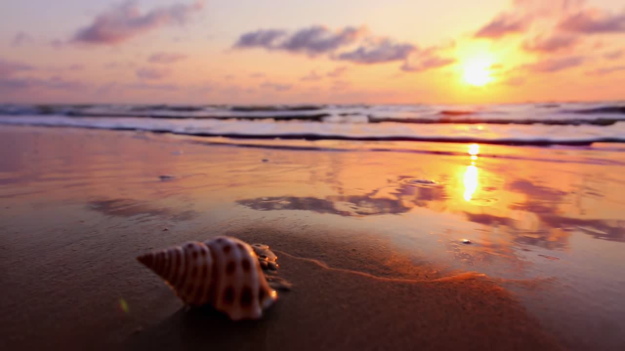 Low-angle video of a seashell on a beach at sunset, capturing serene ocean waves and vibrant sky