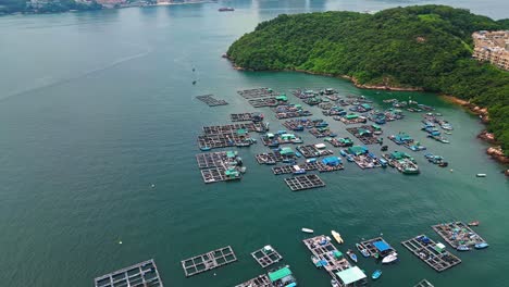 Aerial-over-the-fishing-boats-and-rafts-of-the-fish-farms-on-Ma-Wan-island,-Hong-Kong,-China