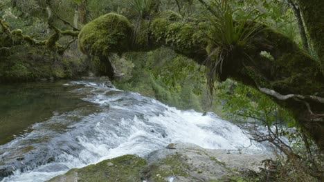 A-picturesque-scene-of-a-branch-gracefully-draping-over-the-top-of-a-cascading-waterfall,-blending-nature's-elegance-with-the-powerful-flow-of-water