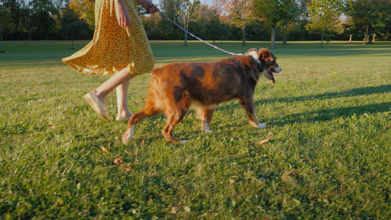 paseo de otoño en el parque con dos mascotas mujer paseando a sus perros