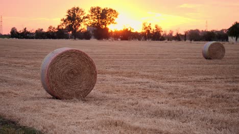 view of hay bales in the countryside during sunset in italy
