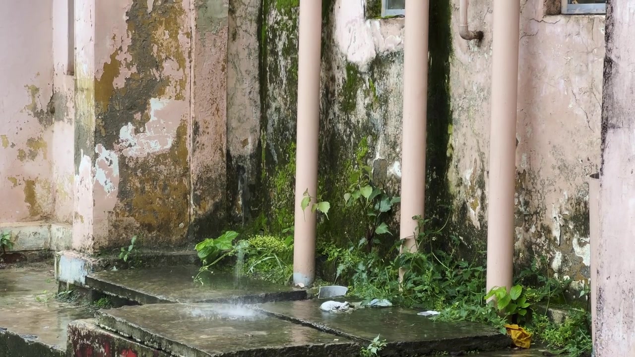 Air hujan jatuh ke permukaan bangunan yang lapuk dengan dinding tertutup lumut, pipa, dan vegetasi basah selama musim monsun.