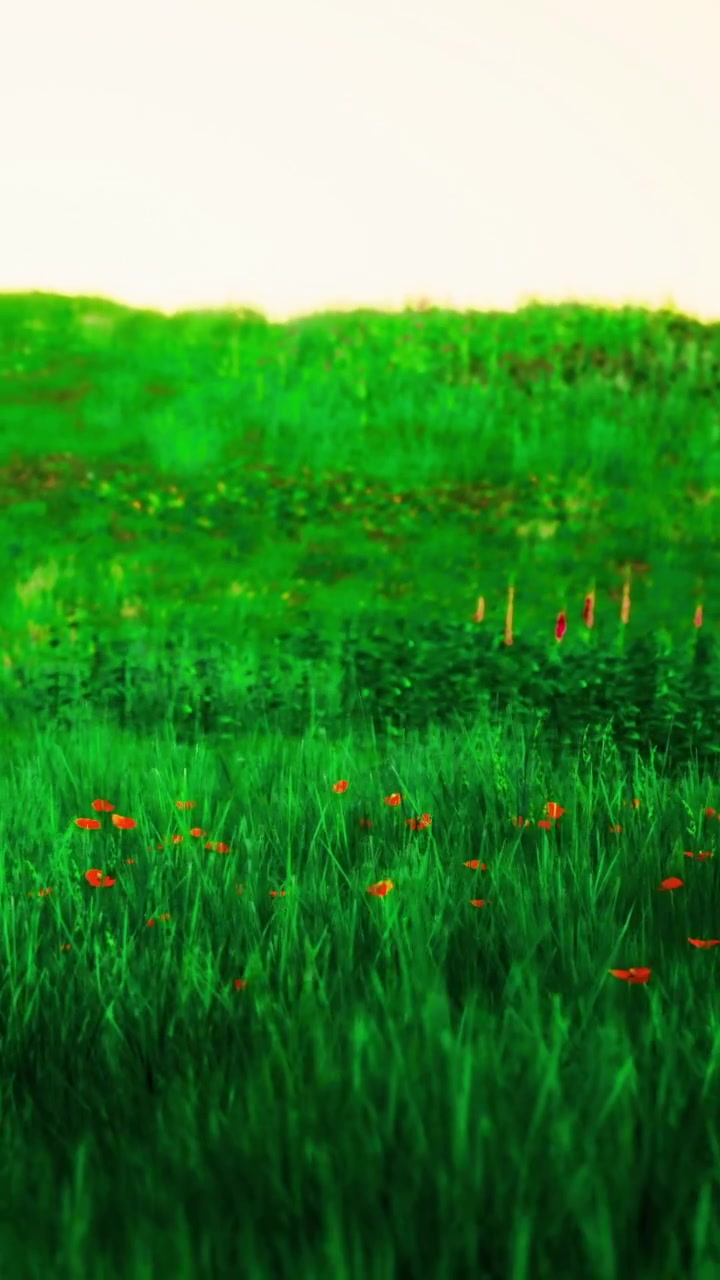 Prato di un verde vivace adornato con fiori arancioni brillanti nella serena luce del giorno.