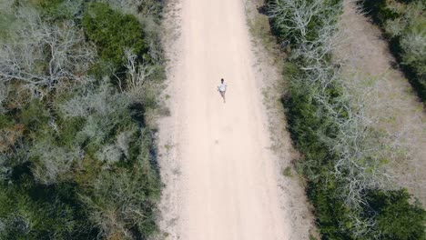 female-person-running,-topview-drone,-runner-in-rural-green-prairie-overview,-aerial-view,-woman-training-for-competition-on-a-deserted-road-between-green-bushes