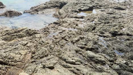 una vista serena de las olas que se estrellan suavemente sobre piscinas rocosas en la playa de haad laem singh, phuket, capturada en la luz natural del día