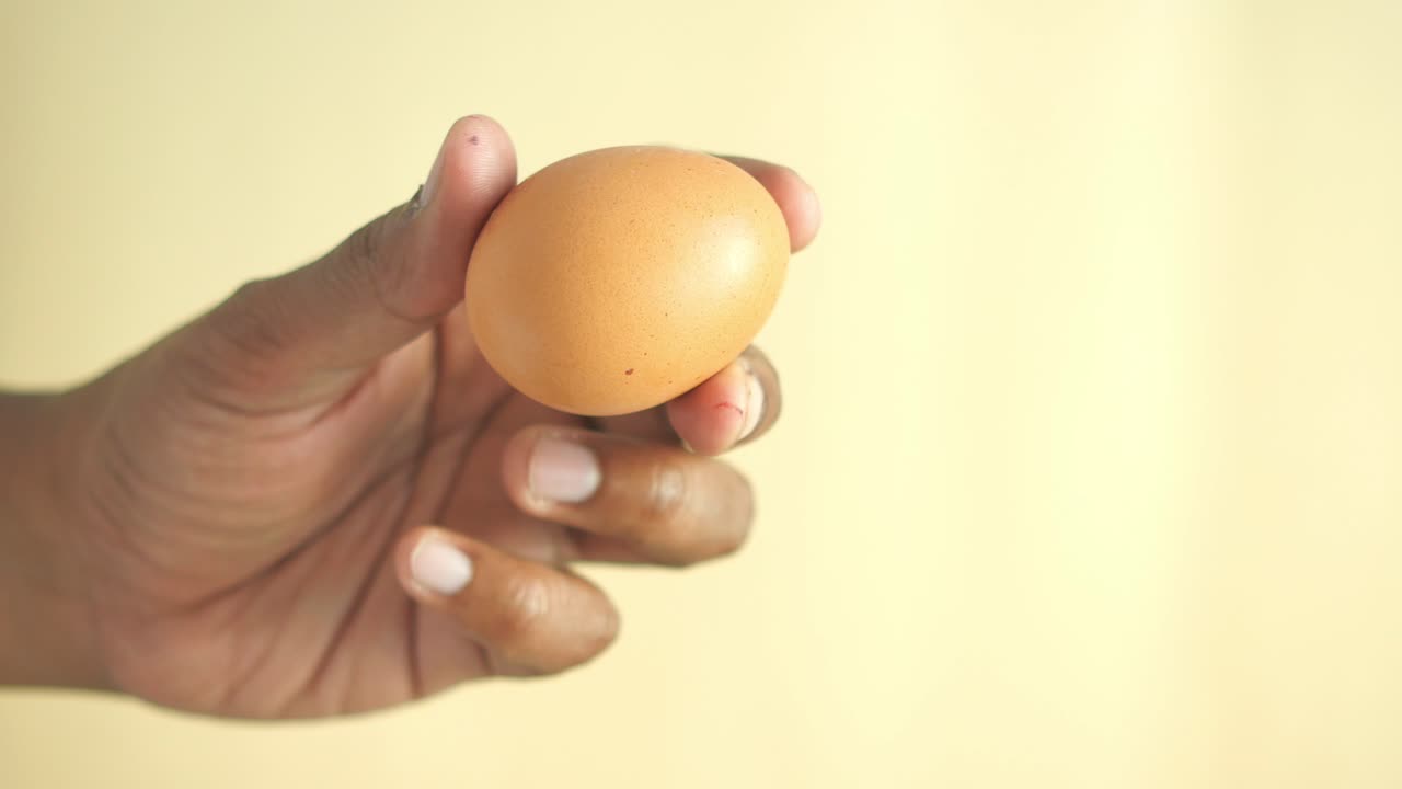 Closeup of a hand holding a brown egg