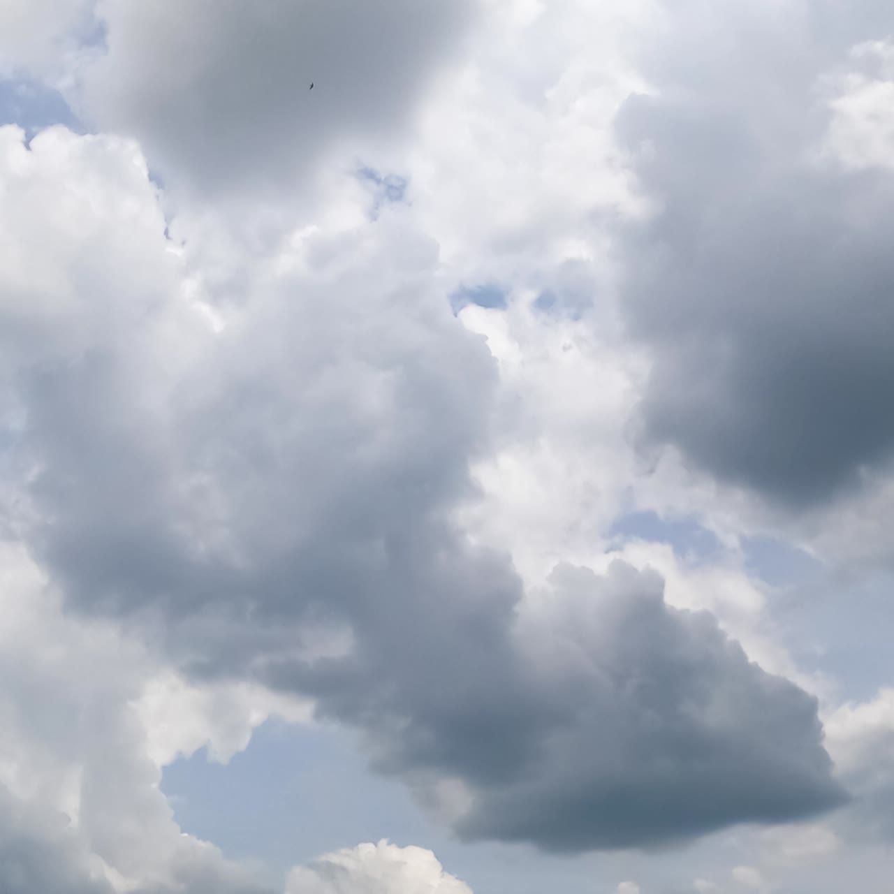 Grey cloudscape spreading by the horizon covering the sky. Dramatic cloudscape from low angle view. Timelapse