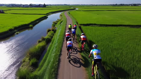 cyclists riding through rice paddy fields