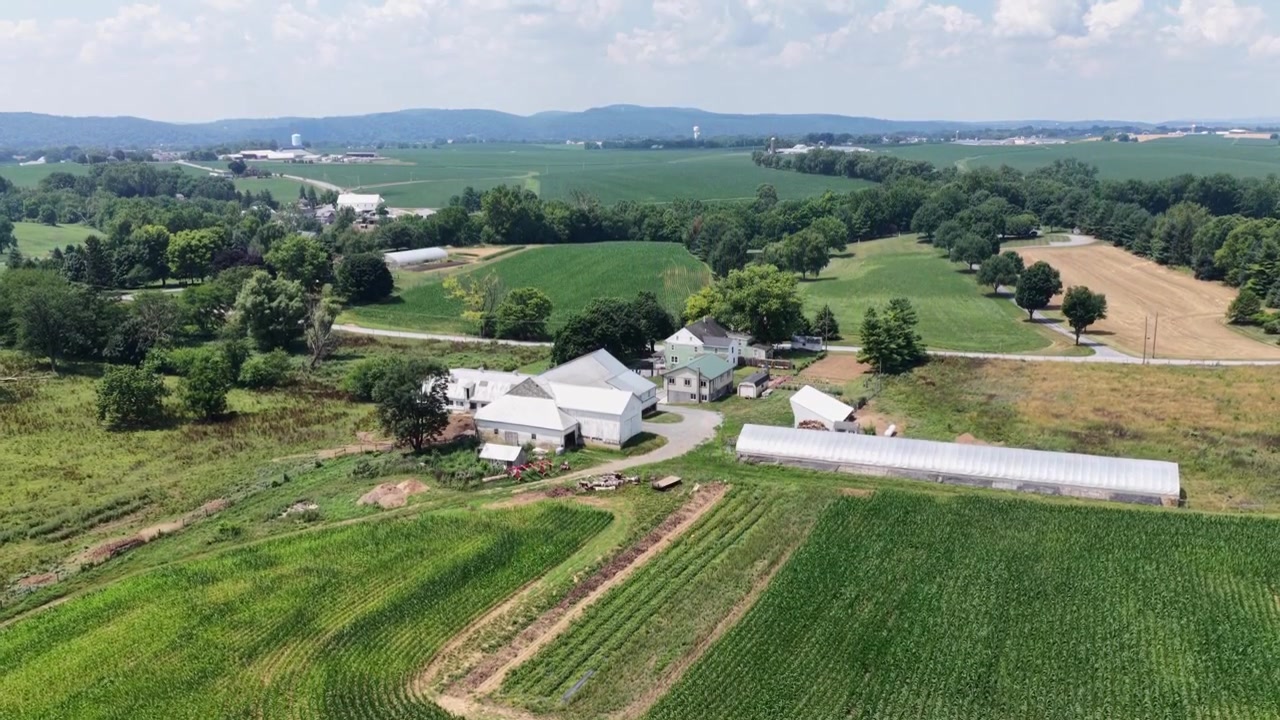Snoede majsmarkrækker omgiver hvid lade samt drivhus-buehuse på en familiegård, bølgende bakker samt fjerne siloer strækker sig over Donegal Creek, Pennsylvania. Luftfoto fra drone, stigende vidvinkeloptagelse.