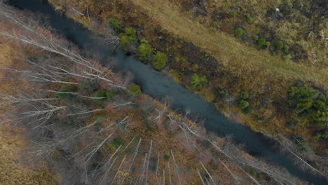 Luftaufnahme,-Absteigend,-Von-Oben-Nach-Unten,-Vogelperspektive,-Drohnenaufnahme,-über-Einem-Fluss,-Umgeben-Von-Blattlosem-Herbstwald,-An-Einem-Kalten,-Bewölkten-Herbsttag,-In-Juuka,-Nordkarelien,-Finnland