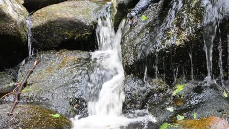 Agua-Corriente-Que-Fluye-Pacíficamente-Sobre-Rocas-Cubiertas-De-Musgo