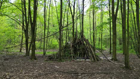 Forest-hut-during-a-beautiful-summer-day-with-lush-greenery,-grass,-leaves-and-trees