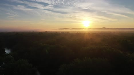 sunrise over a misty forest