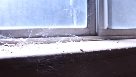 abandoned windowsill light shining through cob webs tracking left to right creepy