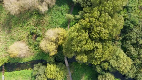 aerial looking down over hambrook marshes in kent