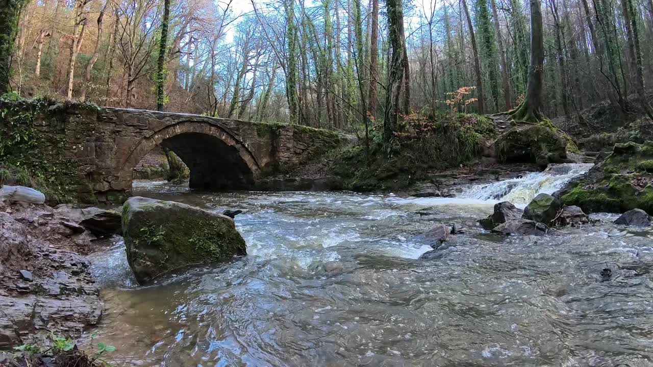 río que fluye de una pequeña cascada de bosque bajo un puente peatonal de piedra rústica en el bosque de otoño cámara lenta