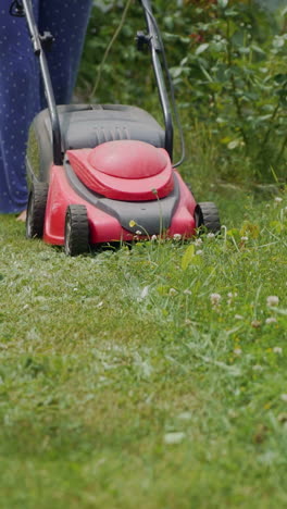 mowing grass in the garden. outdoor seasonal household works vertical video