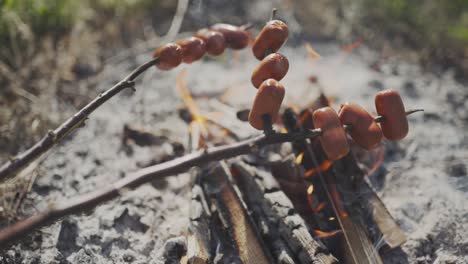 grilling of fatty sausages on campfire. popular outdoor activity on czech countryside. cooking sausages by the campfire.