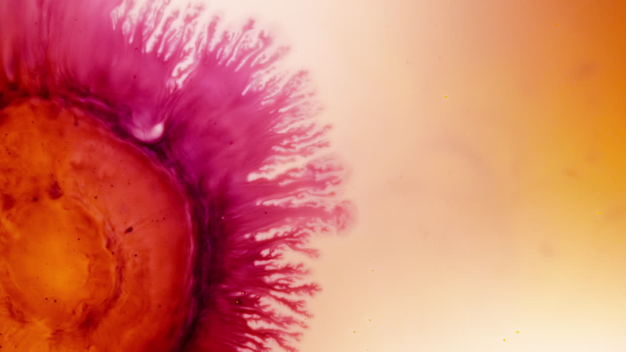 Substances mixing, colorful swirling liquids blending together in a macro shot