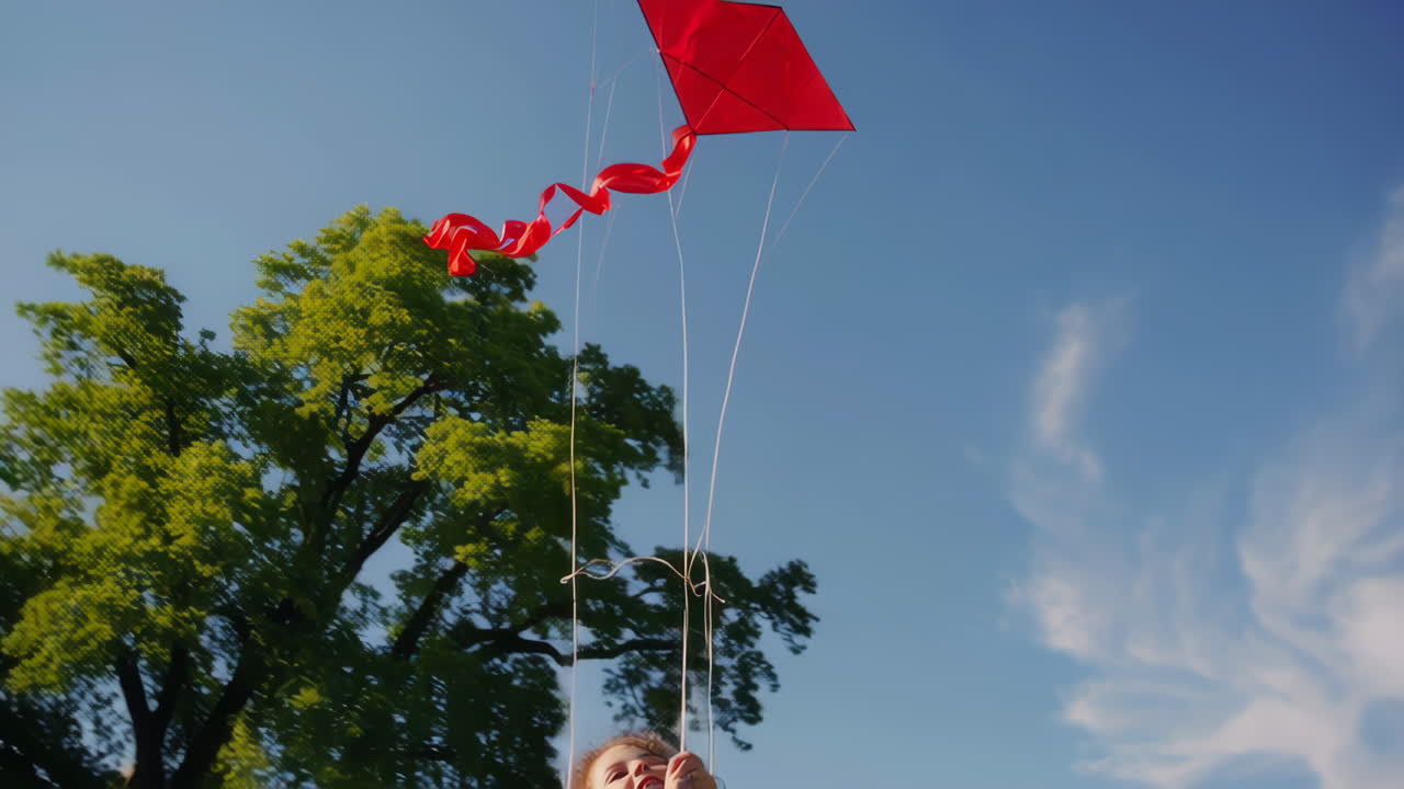 Girl Flying a Kite in a Park