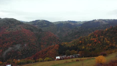 Luftbild-Überführung-Junges-Mädchen-Enthüllen-Bergtal-Mit-Herbstfarbenem-Wald
