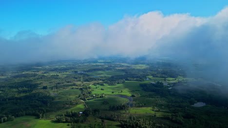 drone aéreo disparado a través de nubes de pastizales verdes y árboles junto a pequeños estanques en el campo rural en una mañana nublada