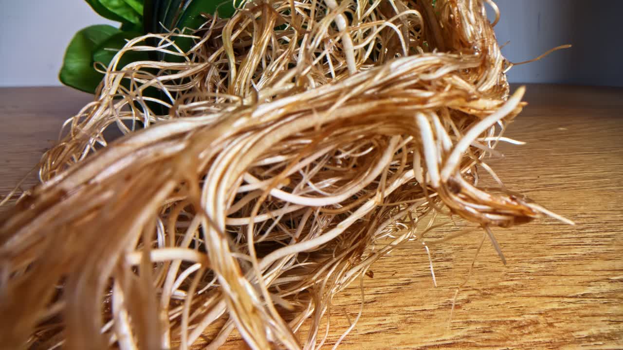 Close-up of tangled plant roots on wooden table surface