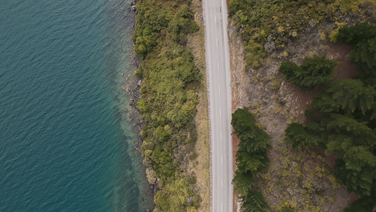 Aerial View of a Road by a Lake Surrounded by Forest
