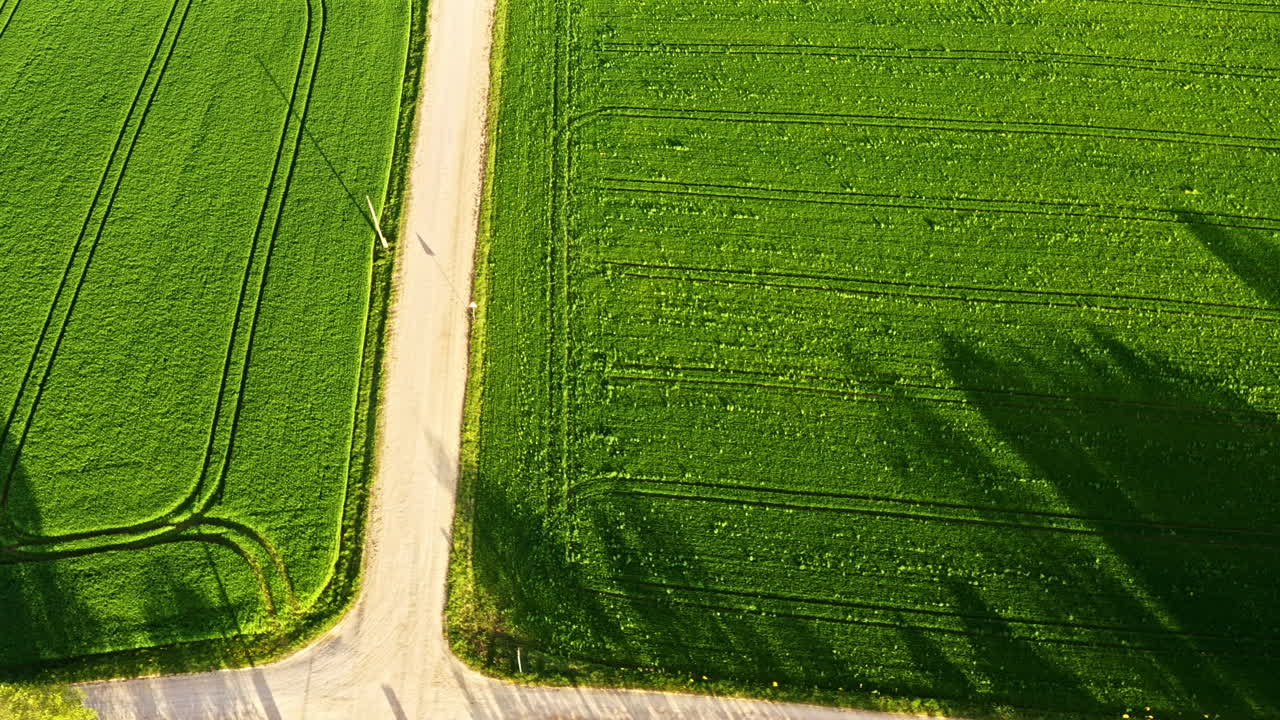 Aerial view of green farmland with tractor tracks and country road junction