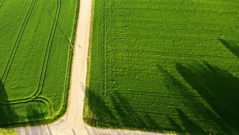 aerial view of green farmland with tractor tracks and country road junction
