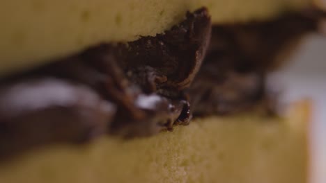 primer plano del hombre en la cocina de casa agregando relleno de chocolate al pastel recién horneado en la superficie de trabajo 3