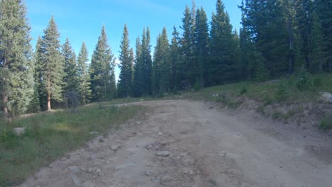 scenic dirt road through a mountain forest