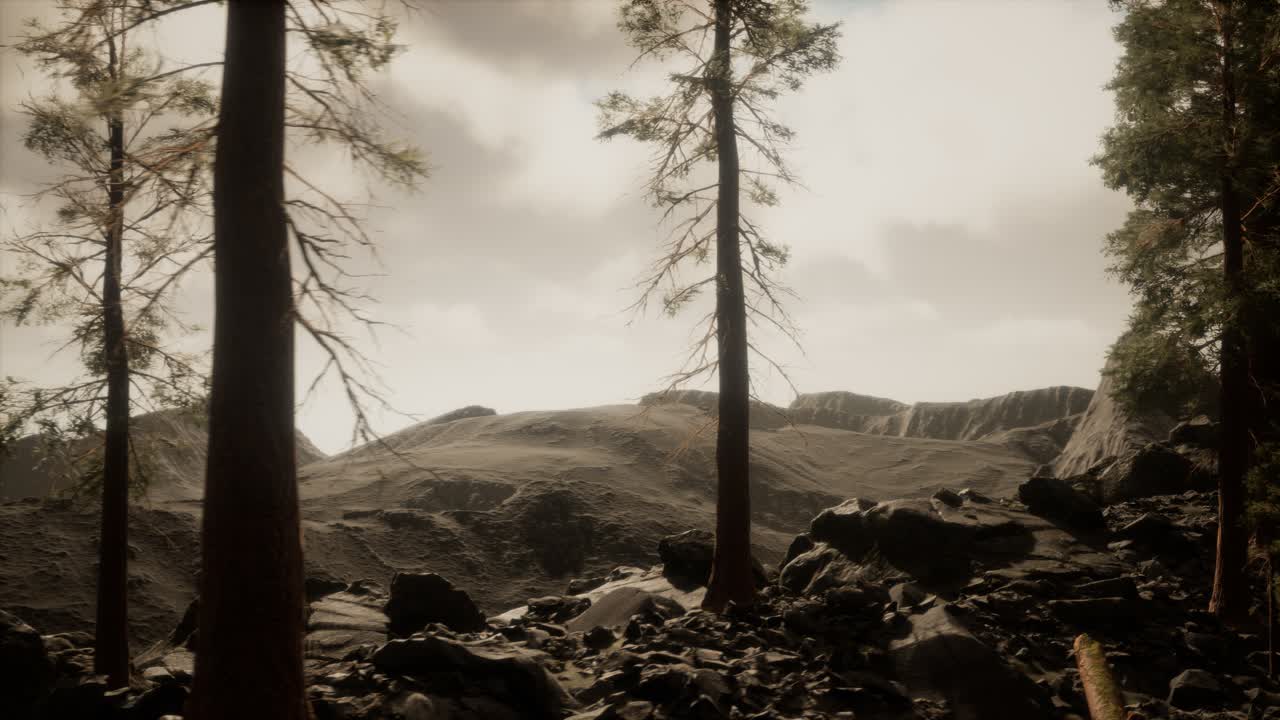 acantilado con árboles y la luz del sol