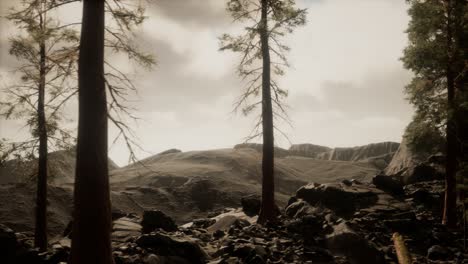 cliff with trees and light of the sun