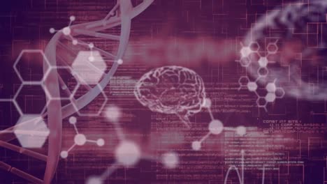 adn, cerebros y datos sobre el fondo marrón