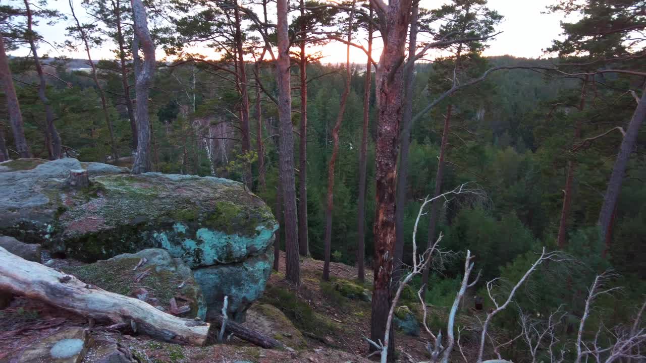 Right to left overview over moss covered rocks along the outskirts of an old forest in the evening