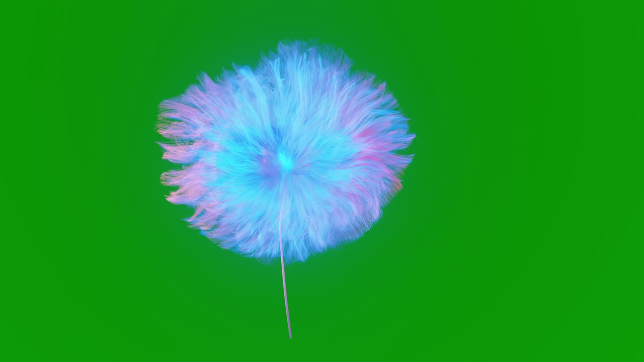 una animación de un diente de león azul volador. llave de croma. un dientes de león volador sobre un fondo verde