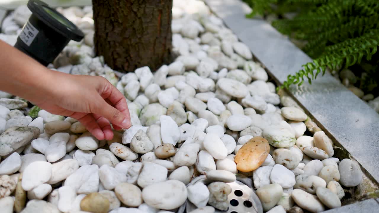 Primo piano di una mano che sistema pietre decorative bianche attorno a un tronco d'albero all'aperto.