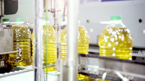 sunflower oil in the bottle moving on production line. sunflower oil production factory