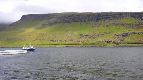 Färöisches-Boot-Mit-Flagge,-Das-über-Den-Ozean-Neben-Einer-Lachsfarm-In-Vagar,-Färöer-Inseln,-Fährt