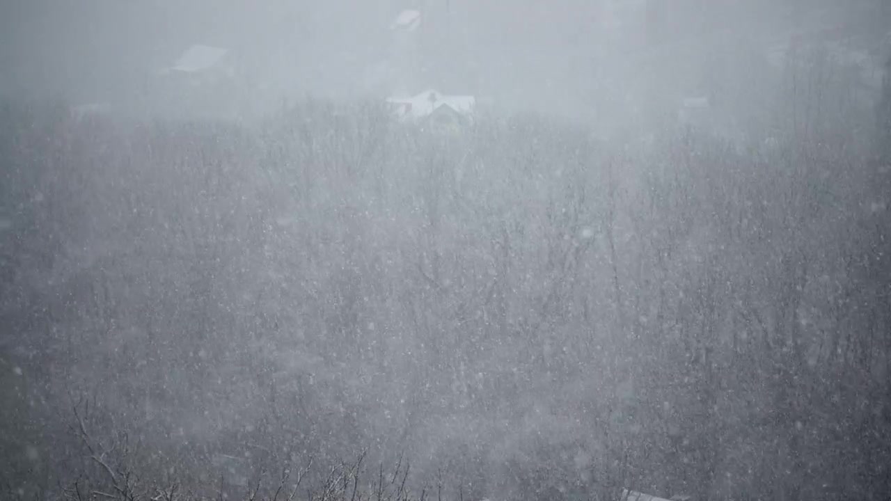 Snøstorm om vinteren. Sakte film