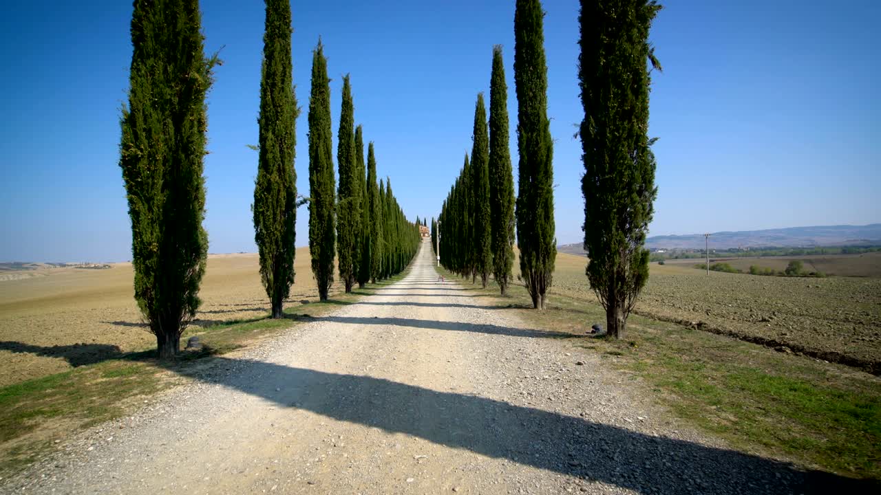 토스카니아 도로 를 따라 줄지어 있는 사이프러스 나무 들 - 운전자 포브