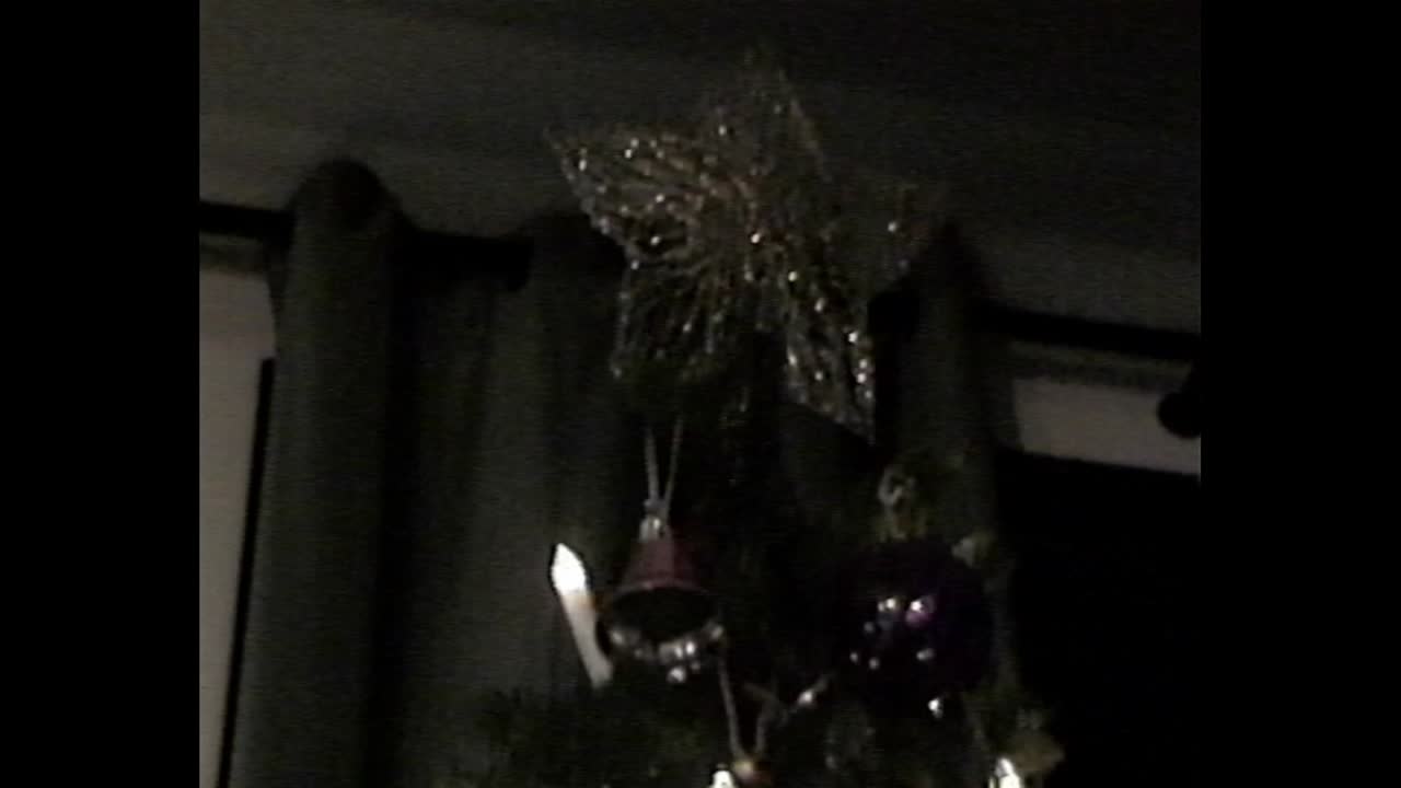 Christmas tree ornament shaped like animal in VHS footage
