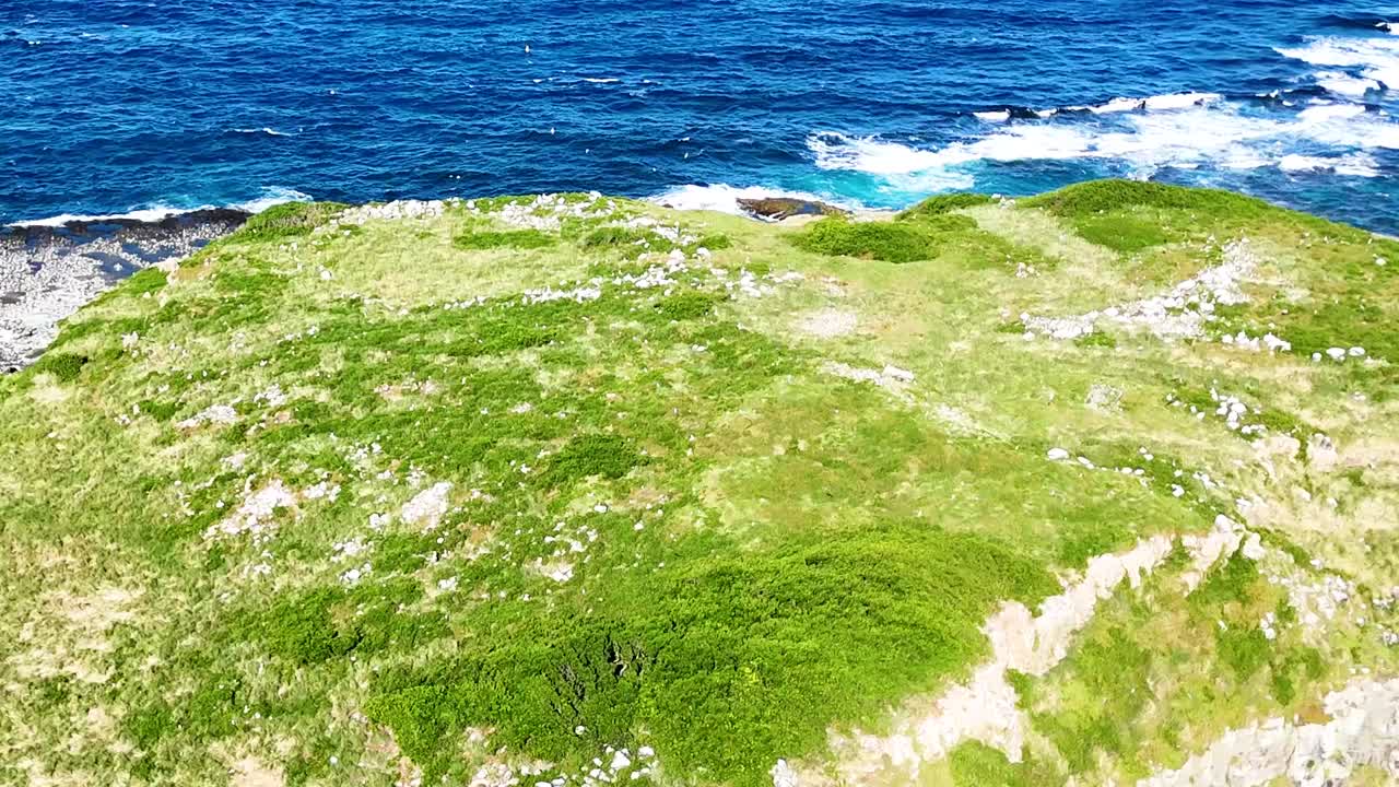 Aerial view of vibrant green cliffs meeting the rocky shoreline and blue ocean waves.