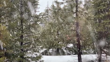 Continuous-winter-snow-footage-in-HD