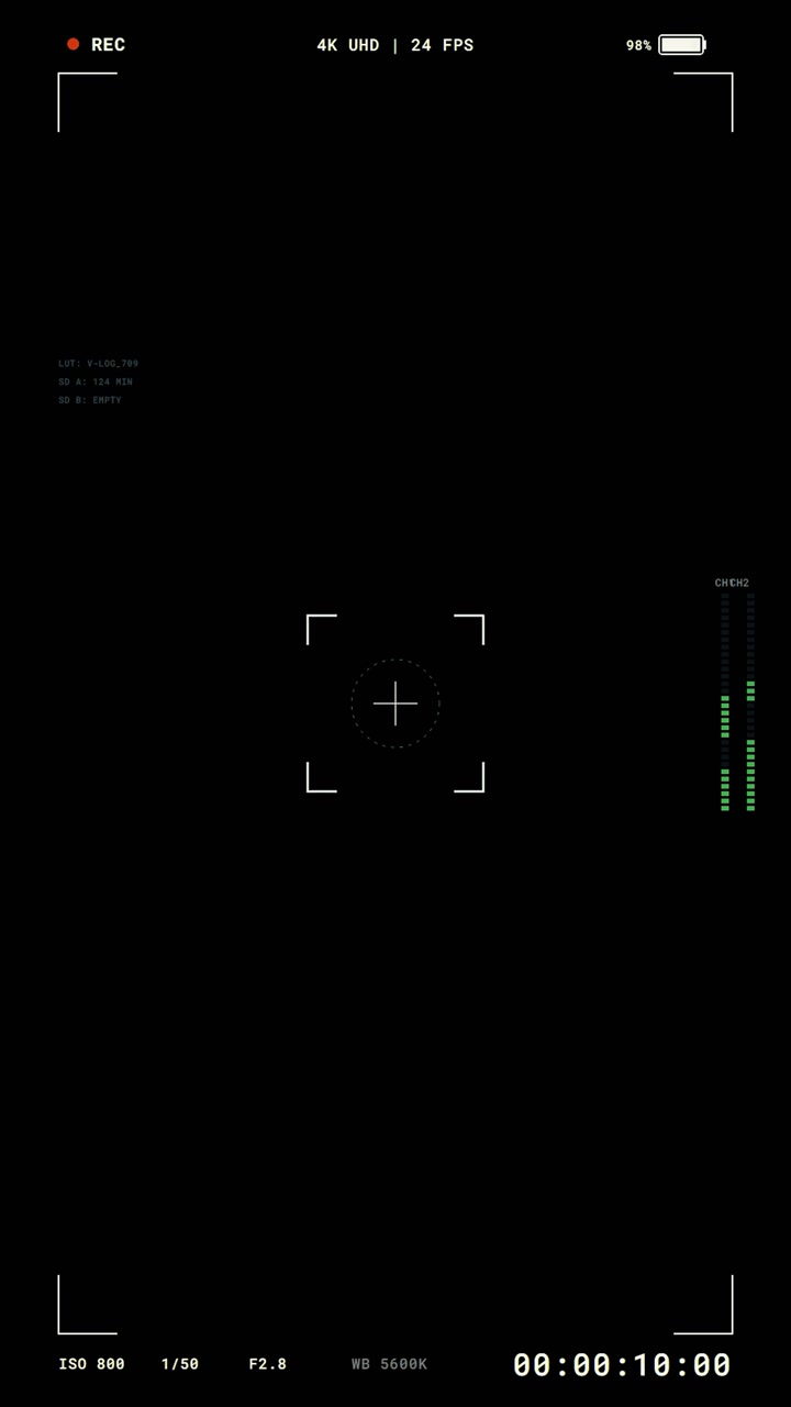 Digital Camera Viewfinder Interface Overlay