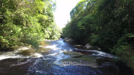 río puro con pequeñas cascadas en escena de drones
