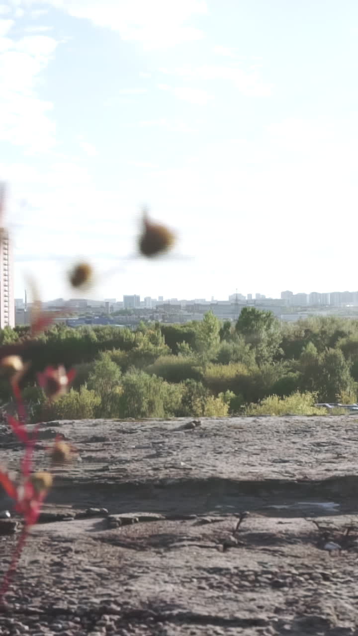 City View from Elevated Park Area
